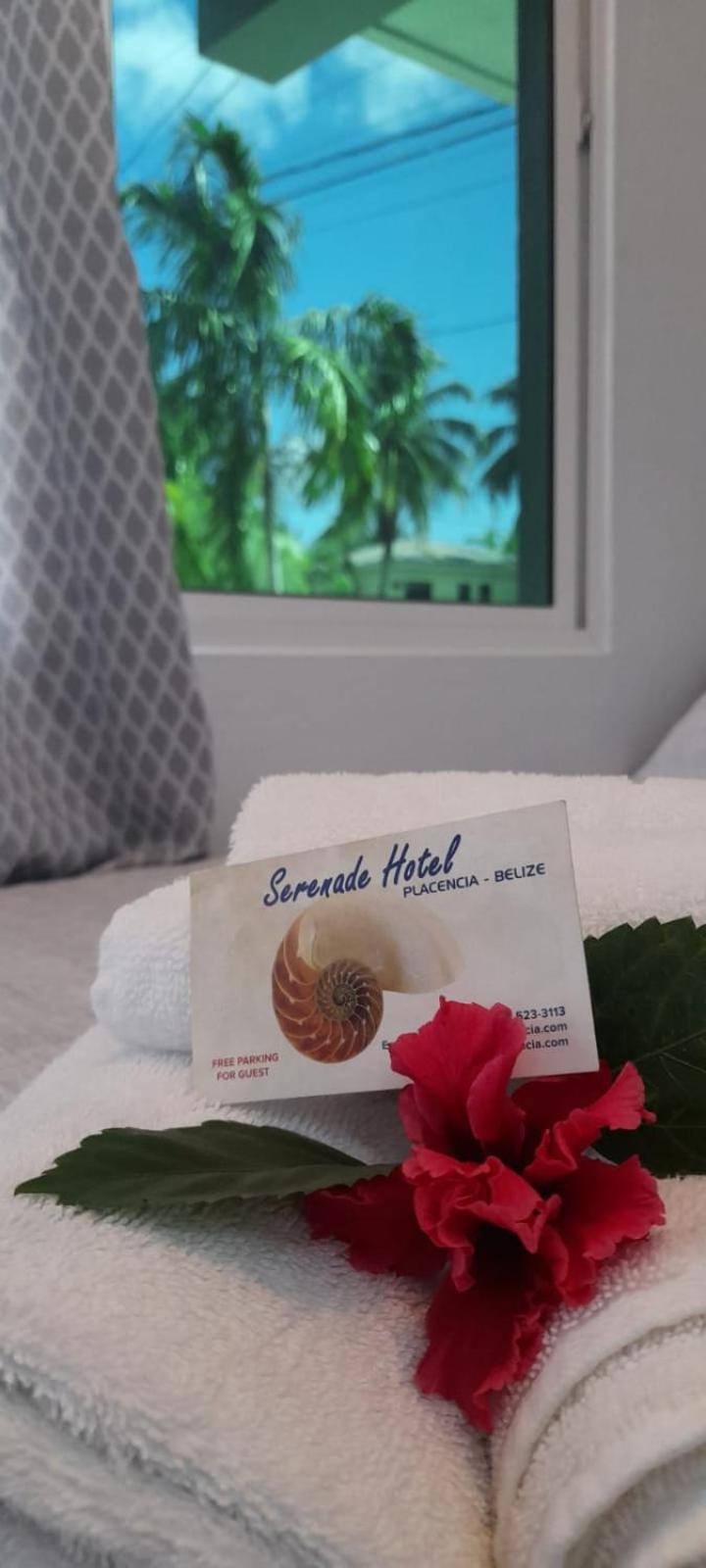 Serenade Hotel Placencia 외부 사진